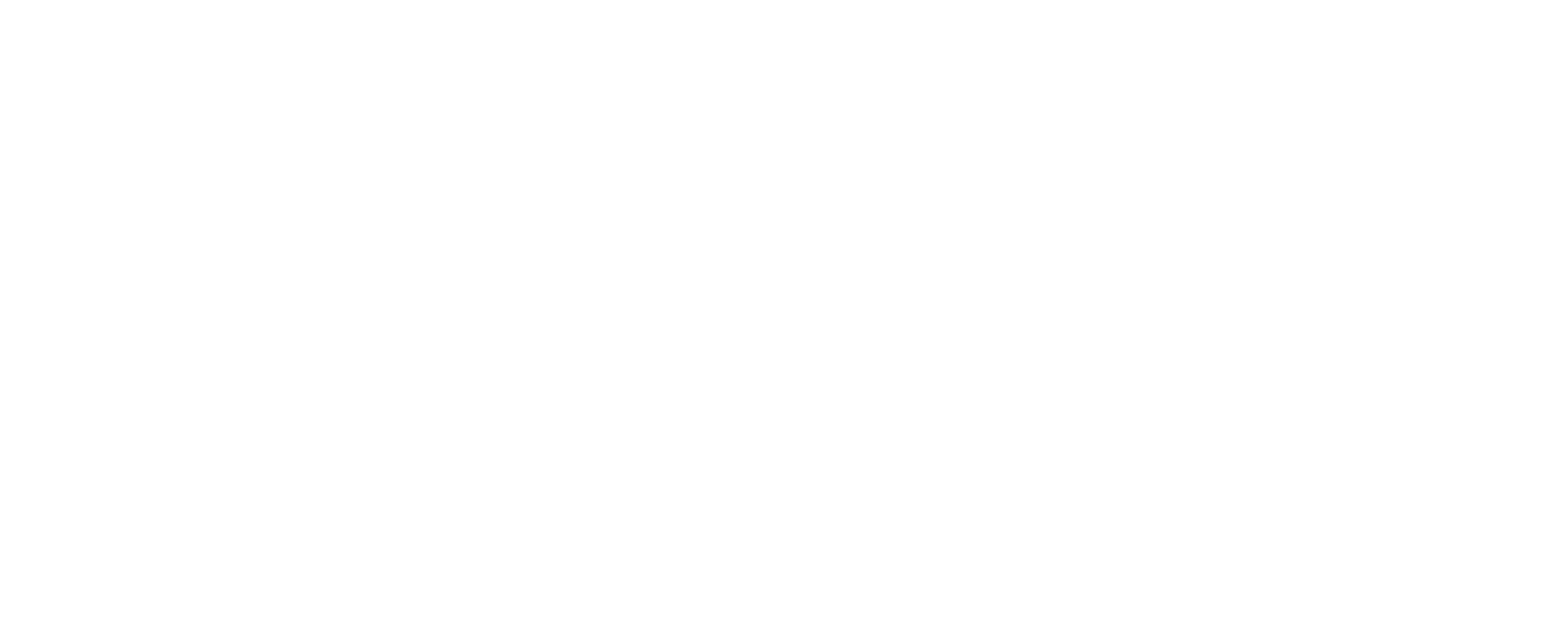 Act On Vision bedrijfslogo